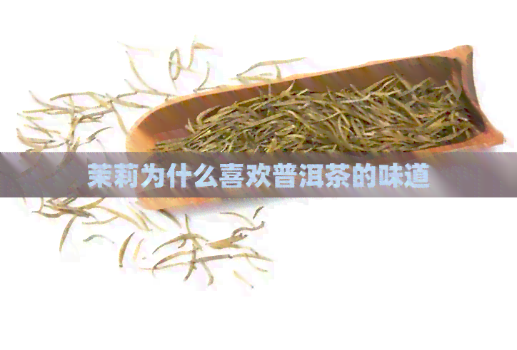 茉莉为什么喜欢普洱茶的味道