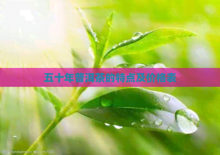 五十年普洱茶的特点及价格表