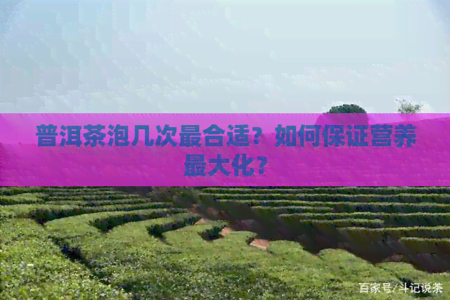 普洱茶泡几次最合适？如何保证营养更大化？