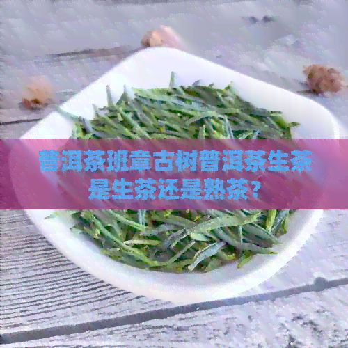 普洱茶班章古树普洱茶生茶是生茶还是熟茶？