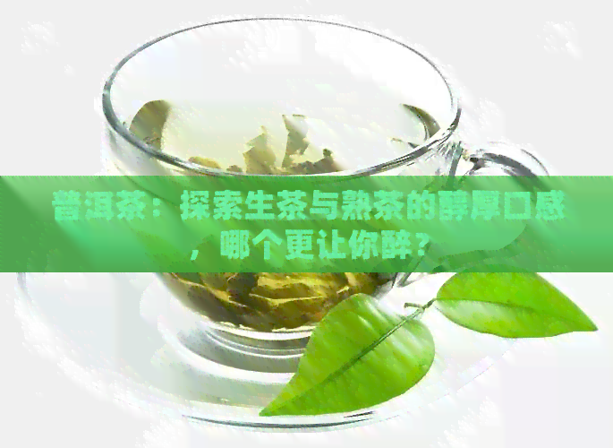 普洱茶：探索生茶与熟茶的醇厚口感，哪个更让你醉？