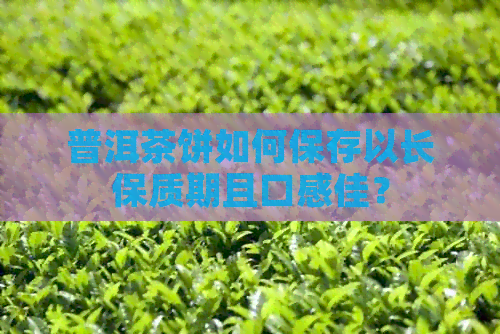 普洱茶饼如何保存以长保质期且口感佳？