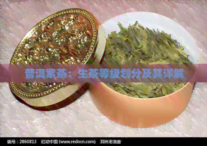 普洱紫茶：生茶等级划分及其详解