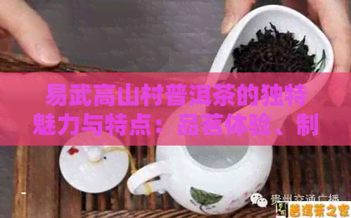 易武高山村普洱茶的独特魅力与特点：品茗体验、制作工艺及收藏价值全解析