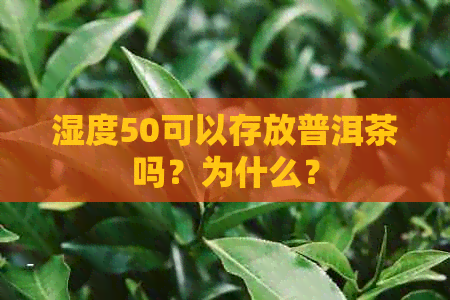 湿度50可以存放普洱茶吗？为什么？