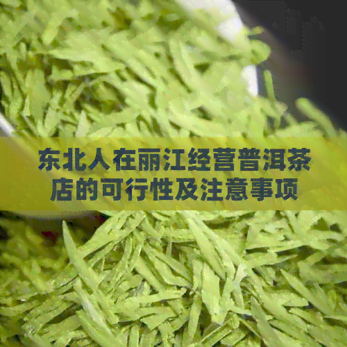 东北人在丽江经营普洱茶店的可行性及注意事项