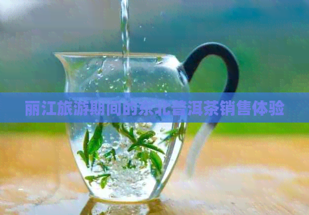 丽江旅游期间的东北普洱茶销售体验