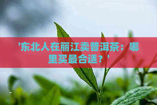 '东北人在丽江卖普洱茶：哪里买最合适？'