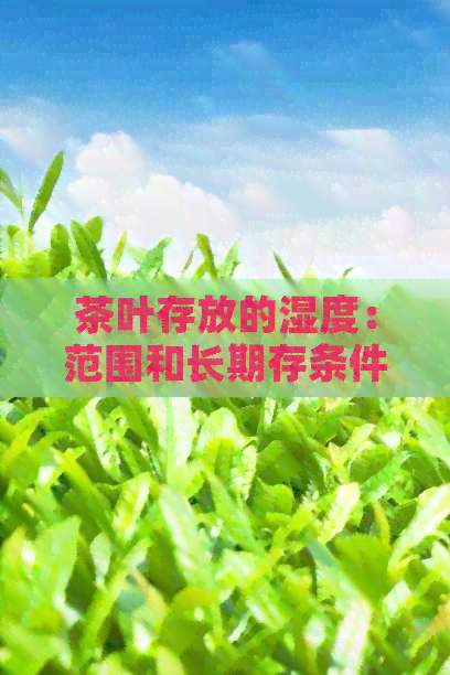 茶叶存放的湿度：范围和长期存条件