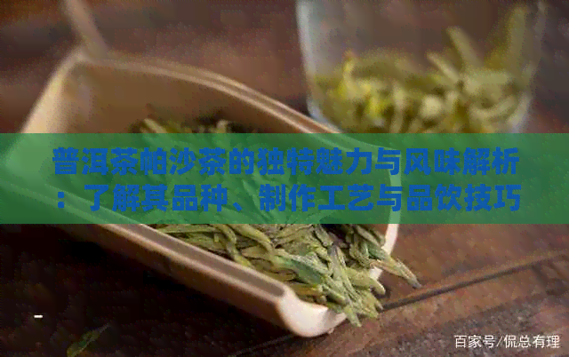 普洱茶帕沙茶的独特魅力与风味解析：了解其品种、制作工艺与品饮技巧