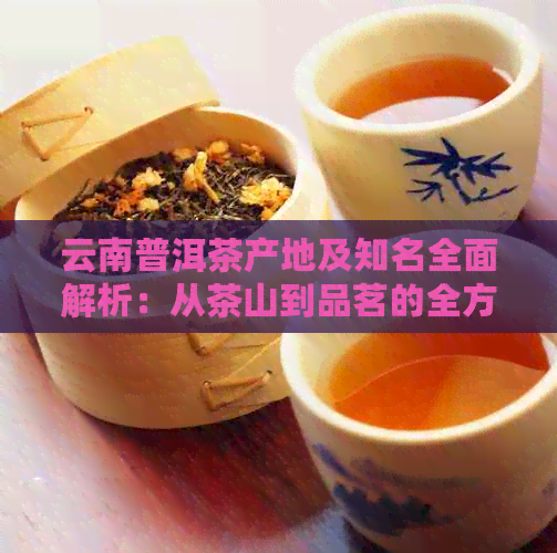 云南普洱茶产地及知名全面解析：从茶山到品茗的全方位指南