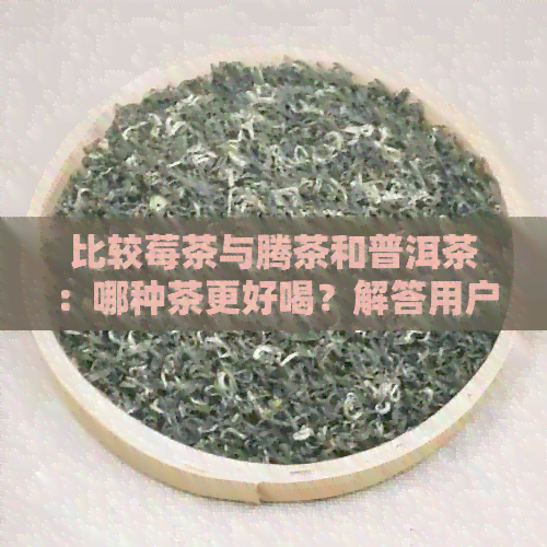 比较莓茶与腾茶和普洱茶：哪种茶更好喝？解答用户关于口感和种类的疑问