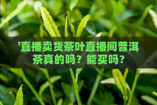 '直播卖货茶叶直播间普洱茶真的吗？能买吗？