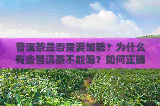 普洱茶是否需要加糖？为什么有些普洱茶不能喝？如何正确饮用普洱茶？