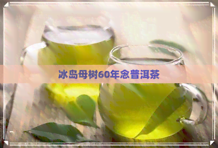 冰岛母树60年念普洱茶