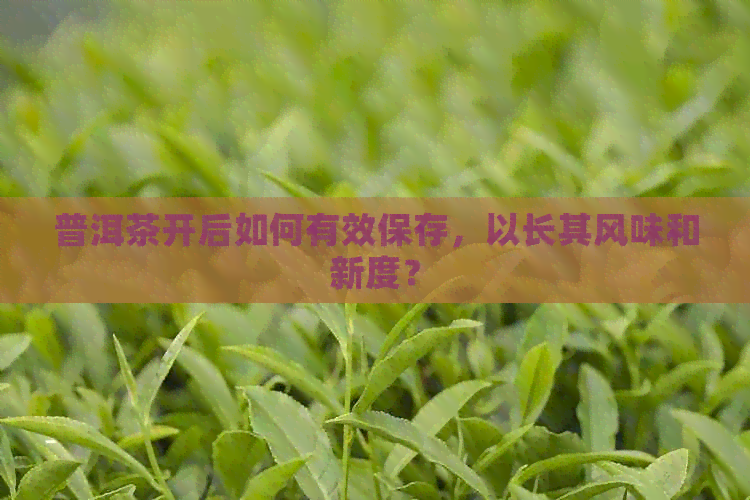 普洱茶开后如何有效保存，以长其风味和新度？