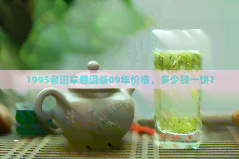 1995老班章普洱茶09年价格，多少钱一饼？