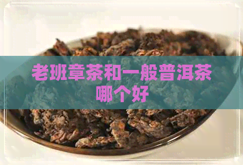 老班章茶和一般普洱茶哪个好