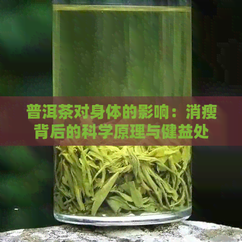 普洱茶对身体的影响：消瘦背后的科学原理与健益处