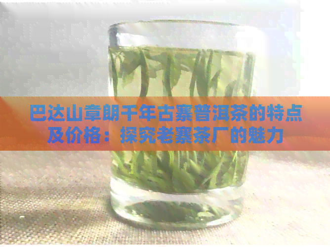 巴达山章朗千年古寨普洱茶的特点及价格：探究老寨茶厂的魅力