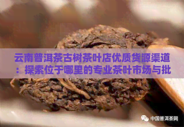 云南普洱茶古树茶叶店优质货源渠道：探索位于哪里的专业茶叶市场与批发商