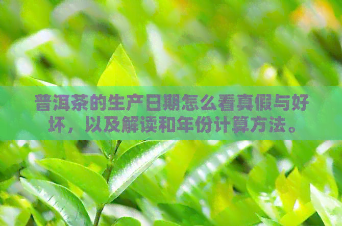 普洱茶的生产日期怎么看真假与好坏，以及解读和年份计算方法。