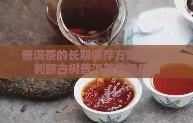 普洱茶的长期保存方法及如何判断古树普洱茶的保质期