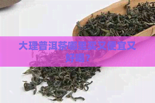 大理普洱茶哪里买又便宜又好喝？