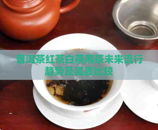 普洱茶红茶白茶黑茶未来流行趋势及品质比较