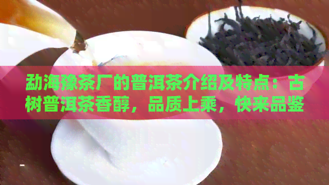 勐海豫茶厂的普洱茶介绍及特点：古树普洱茶香醇，品质上乘，快来品鉴！