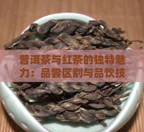 普洱茶与红茶的独特魅力：品尝区别与品饮技巧解析