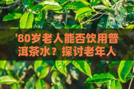 '80岁老人能否饮用普洱茶水？探讨老年人与普洱茶的关系'