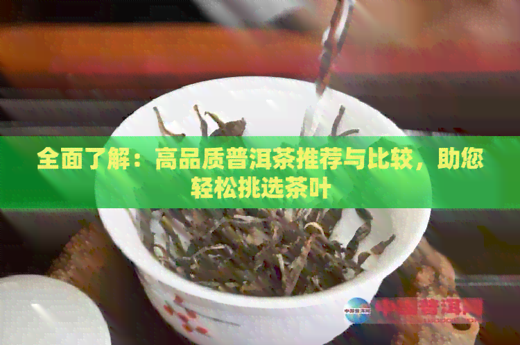 全面了解：高品质普洱茶推荐与比较，助您轻松挑选茶叶