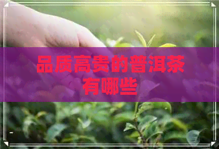 品质高贵的普洱茶有哪些