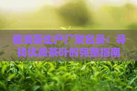 普洱茶生产厂家名录：寻找优质茶叶的完整指南