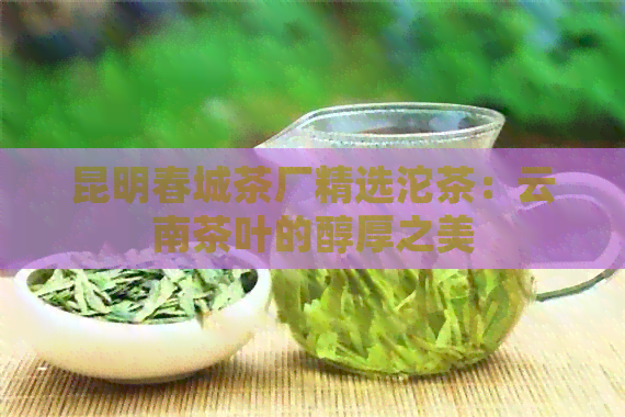 昆明春城茶厂精选沱茶：云南茶叶的醇厚之美