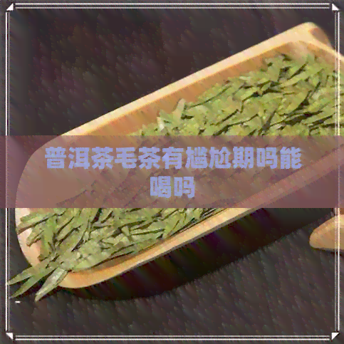 普洱茶毛茶有尴尬期吗能喝吗