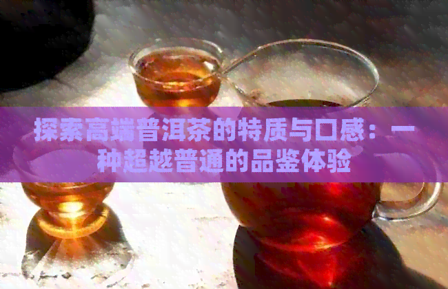 探索高端普洱茶的特质与口感：一种超越普通的品鉴体验