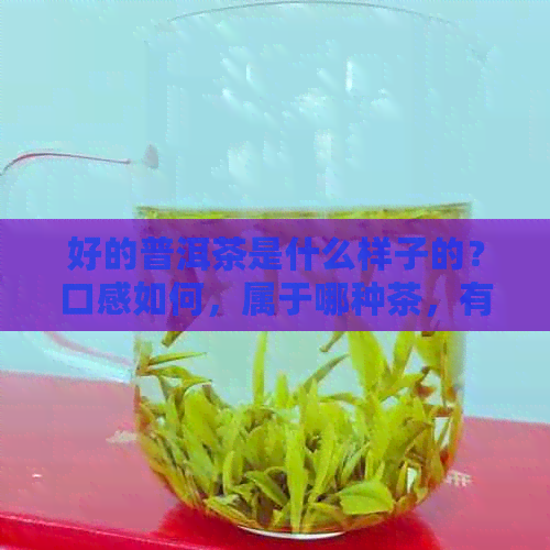 好的普洱茶是什么样子的？口感如何，属于哪种茶，有哪些著名名字？