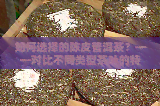 如何选择的陈皮普洱茶？——对比不同类型茶叶的特性和口感