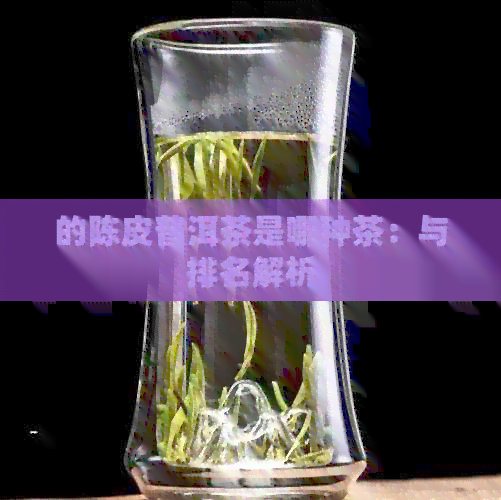 的陈皮普洱茶是哪种茶：与排名解析