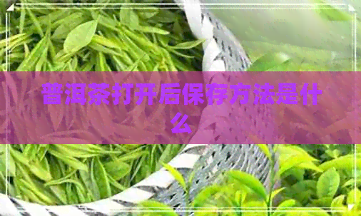 普洱茶打开后保存方法是什么