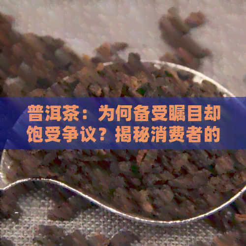 普洱茶：为何备受瞩目却饱受争议？揭秘消费者的困惑与期待