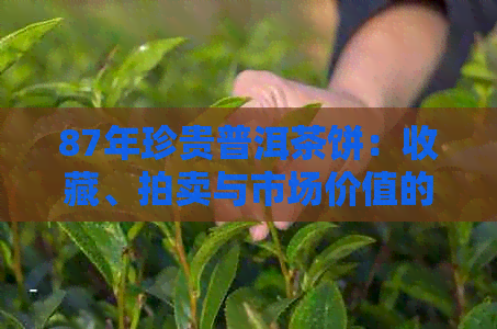 87年珍贵普洱茶饼：收藏、拍卖与市场价值的深度解析