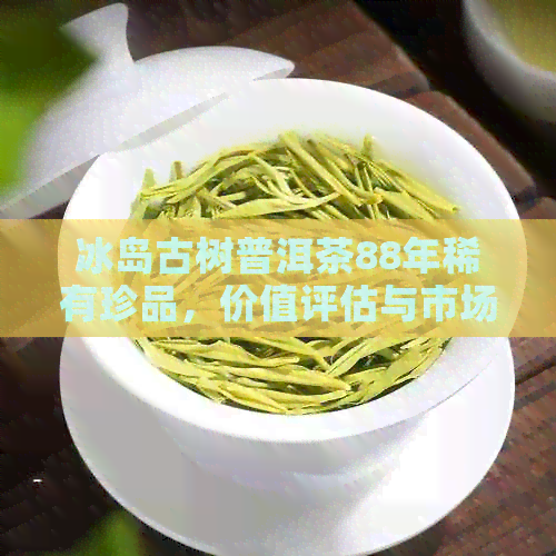 冰岛古树普洱茶88年稀有珍品，价值评估与市场行情分析