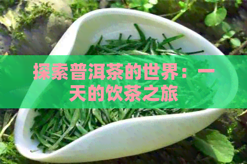 探索普洱茶的世界：一天的饮茶之旅