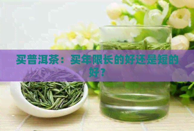 买普洱茶：买年限长的好还是短的好？