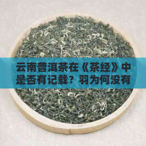 云南普洱茶在《茶经》中是否有记载？羽为何没有特别提及？