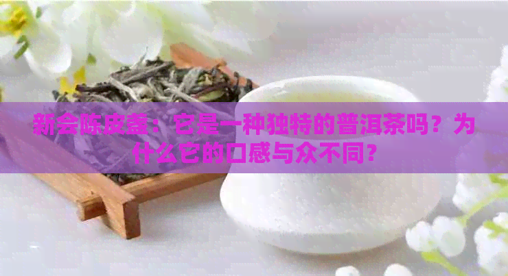 新会陈皮盏：它是一种独特的普洱茶吗？为什么它的口感与众不同？