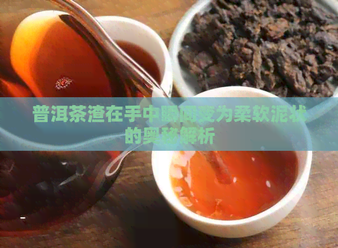 普洱茶渣在手中瞬间变为柔软泥状的奥秘解析